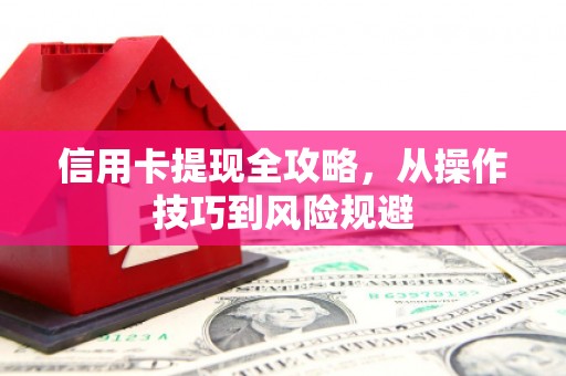 乳源信用卡提现全攻略，从操作技巧到风险规避