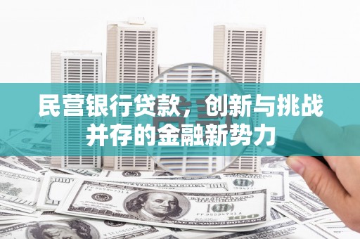 乳源民营银行贷款，创新与挑战并存的金融新势力