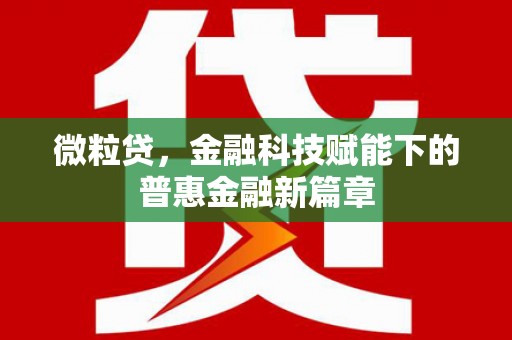 乳源微粒贷，金融科技赋能下的普惠金融新篇章
