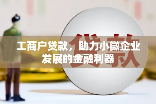 乳源工商户贷款，助力小微企业发展的金融利器