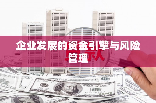 乳源企业发展的资金引擎与风险管理