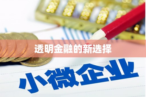 乳源透明金融的新选择
