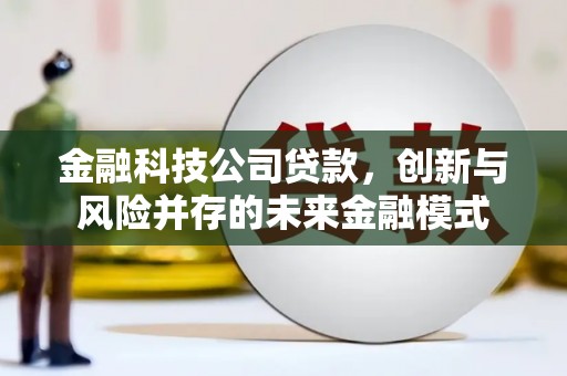 乳源金融科技公司贷款，创新与风险并存的未来金融模式