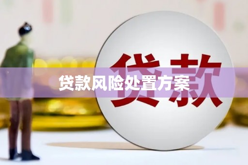 乳源贷款风险处置方案