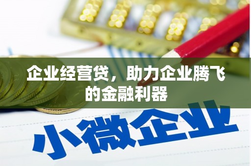 乳源企业经营贷，助力企业腾飞的金融利器