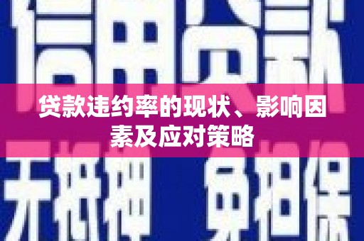 乳源贷款违约率的现状、影响因素及应对策略