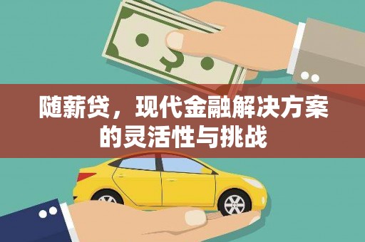 乳源随薪贷，现代金融解决方案的灵活性与挑战