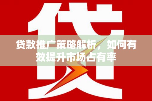 乳源贷款推广策略解析，如何有效提升市场占有率