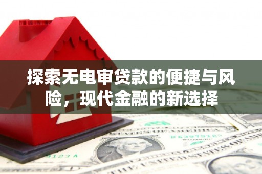 乳源探索无电审贷款的便捷与风险，现代金融的新选择
