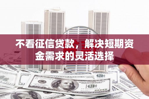 乳源不看征信贷款，解决短期资金需求的灵活选择