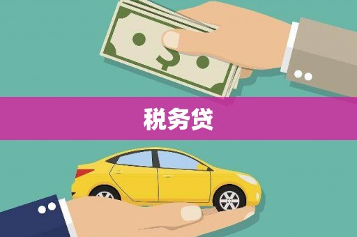 乳源税务贷