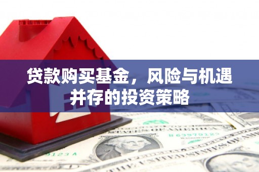 乳源贷款购买基金，风险与机遇并存的投资策略