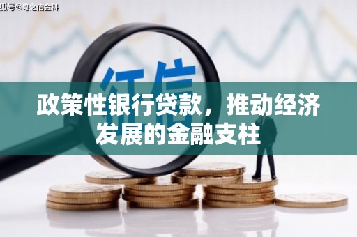 乳源政策性银行贷款，推动经济发展的金融支柱