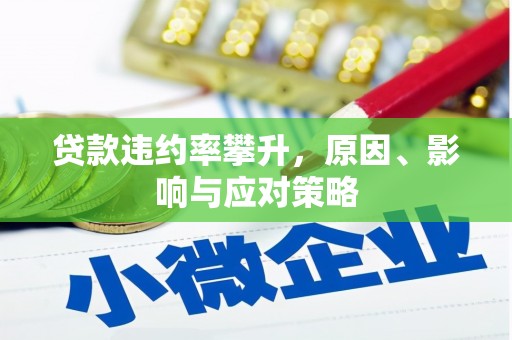 乳源贷款违约率攀升，原因、影响与应对策略
