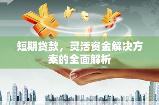 乳源短期贷款，灵活资金解决方案的全面解析