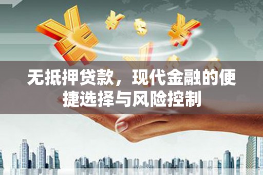 乳源无抵押贷款，现代金融的便捷选择与风险控制