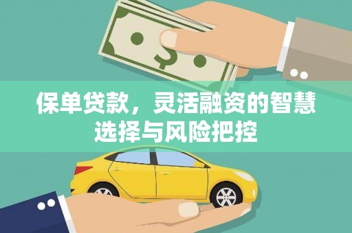 乳源保单贷款，灵活融资的智慧选择与风险把控