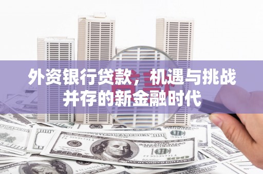 乳源外资银行贷款，机遇与挑战并存的新金融时代