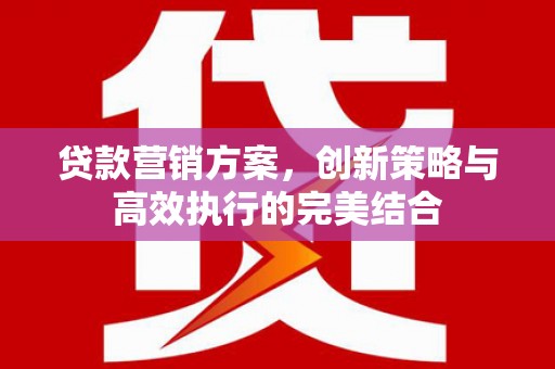 乳源贷款营销方案，创新策略与高效执行的完美结合