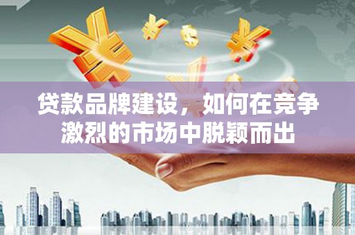 乳源贷款品牌建设，如何在竞争激烈的市场中脱颖而出