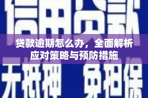 乳源贷款逾期怎么办，全面解析应对策略与预防措施