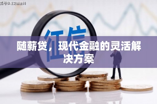 乳源随薪贷，现代金融的灵活解决方案