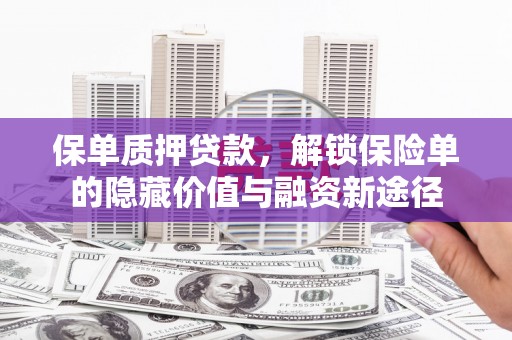 乳源保单质押贷款，解锁保险单的隐藏价值与融资新途径