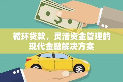 乳源循环贷款，灵活资金管理的现代金融解决方案