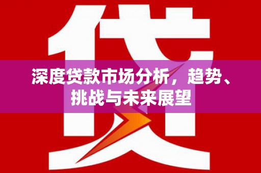 乳源深度贷款市场分析，趋势、挑战与未来展望