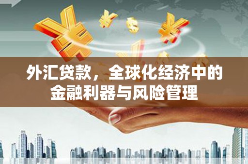 乳源外汇贷款，全球化经济中的金融利器与风险管理