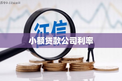 乳源小额贷款公司利率