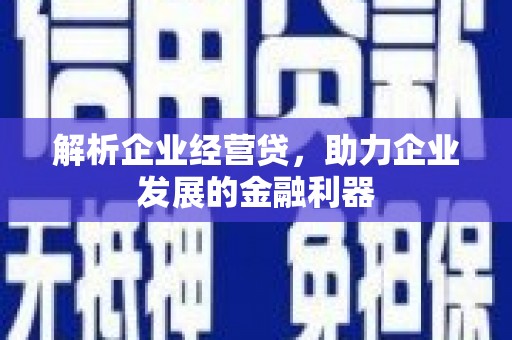 乳源解析企业经营贷，助力企业发展的金融利器