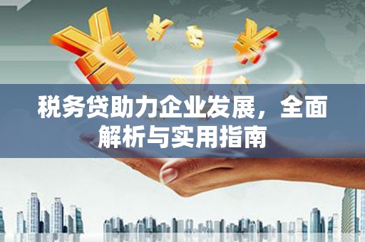 乳源税务贷助力企业发展，全面解析与实用指南