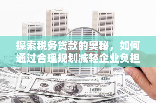 乳源探索税务贷款的奥秘，如何通过合理规划减轻企业负担