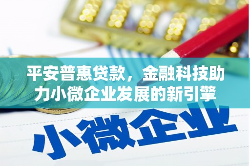 乳源平安普惠贷款，金融科技助力小微企业发展的新引擎