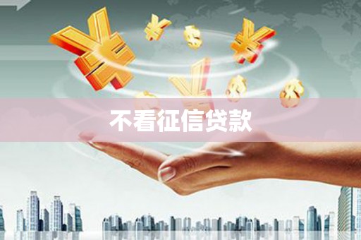 乳源不看征信贷款