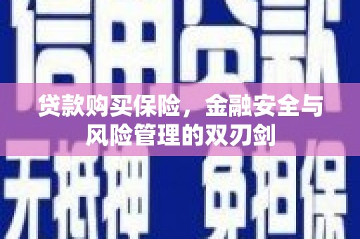 乳源贷款购买保险，金融安全与风险管理的双刃剑