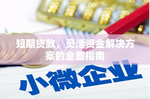 乳源短期贷款，灵活资金解决方案的全面指南