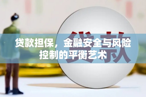 乳源贷款担保，金融安全与风险控制的平衡艺术