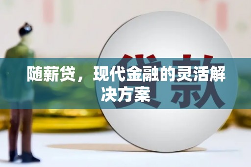 乳源随薪贷，现代金融的灵活解决方案