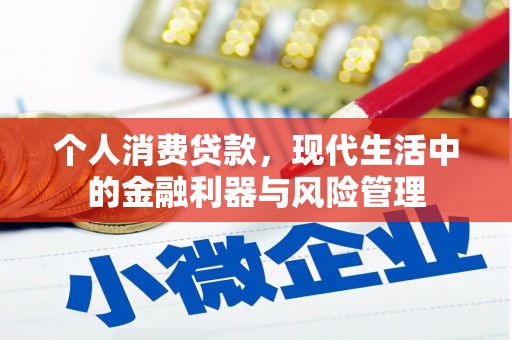 乳源个人消费贷款，现代生活中的金融利器与风险管理