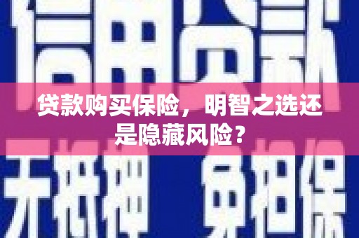 乳源贷款购买保险，明智之选还是隐藏风险？