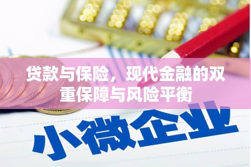 乳源贷款与保险，现代金融的双重保障与风险平衡