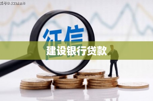 乳源建设银行贷款