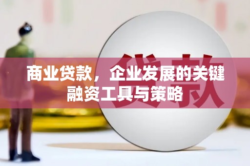 乳源商业贷款，企业发展的关键融资工具与策略