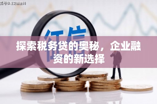 乳源探索税务贷的奥秘，企业融资的新选择