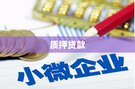 乳源质押贷款