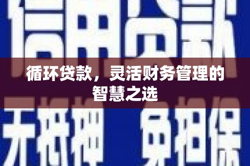 乳源循环贷款，灵活财务管理的智慧之选