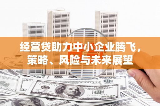 乳源经营贷助力中小企业腾飞，策略、风险与未来展望