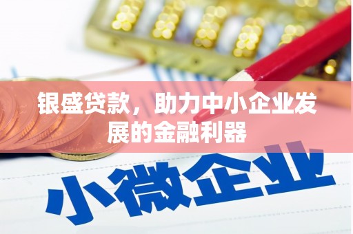 乳源银盛贷款，助力中小企业发展的金融利器